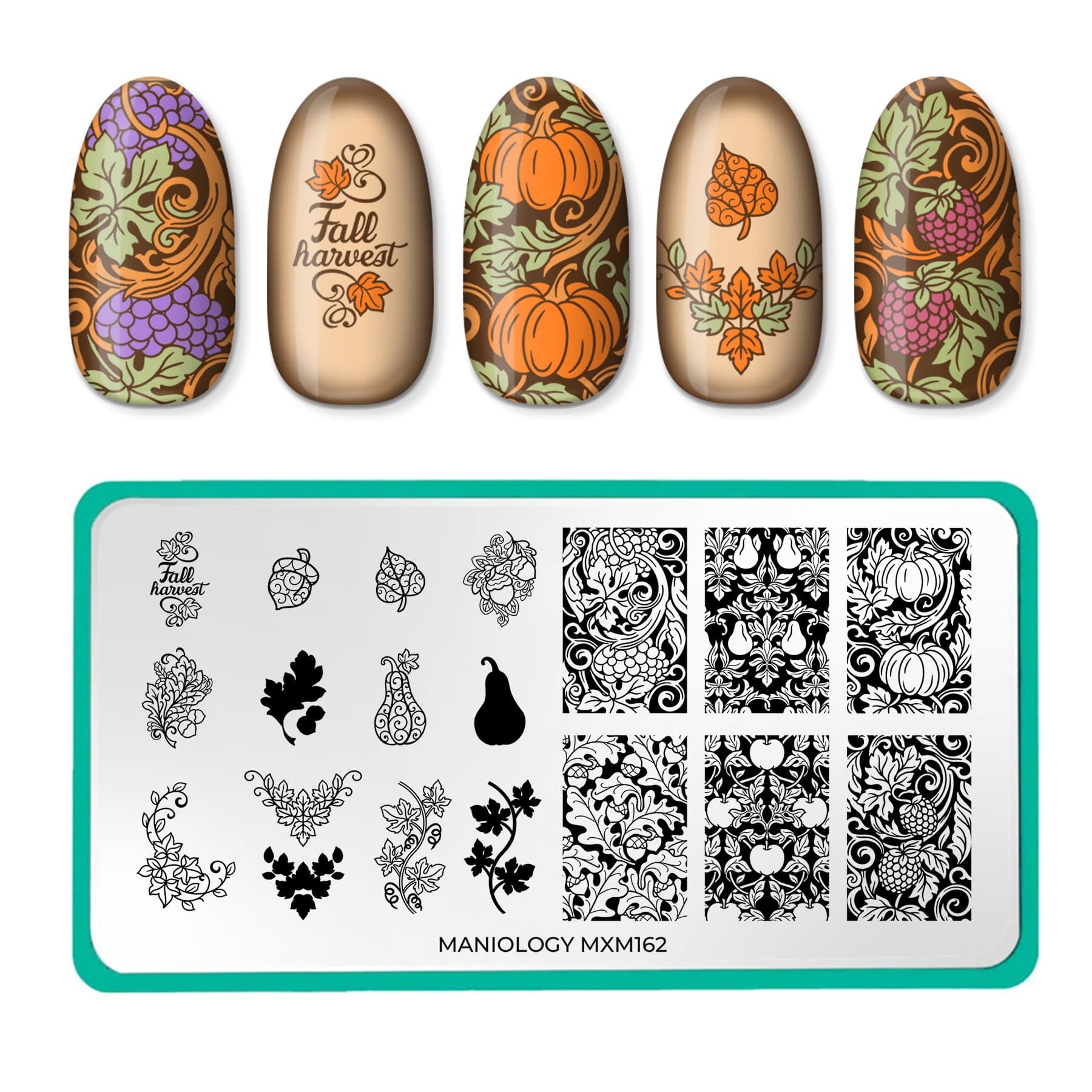 Placa Stamping Cosecha Dorada: Scroll & Season (MXM162) | Maniology