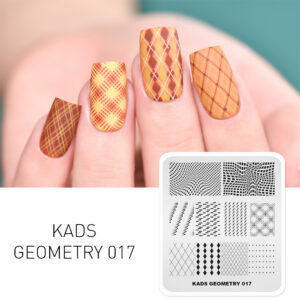 geometry 017